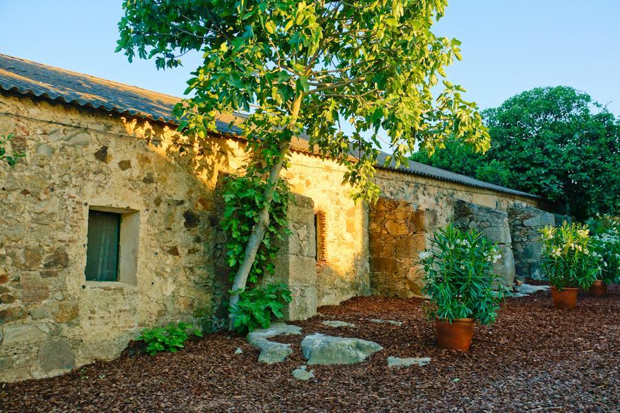 Casa Rural Castillo De Caces Εξωτερικό φωτογραφία
