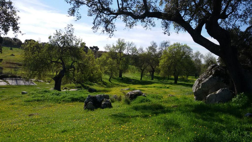 Casa Rural Castillo De Caces Εξωτερικό φωτογραφία